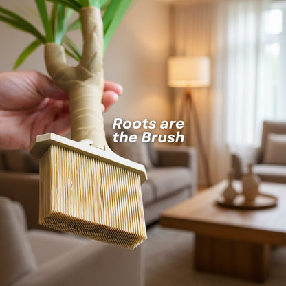 Dust-Free Dragon Tree | The Brush, Trashcan, Dustpan (all-in-one Plant)