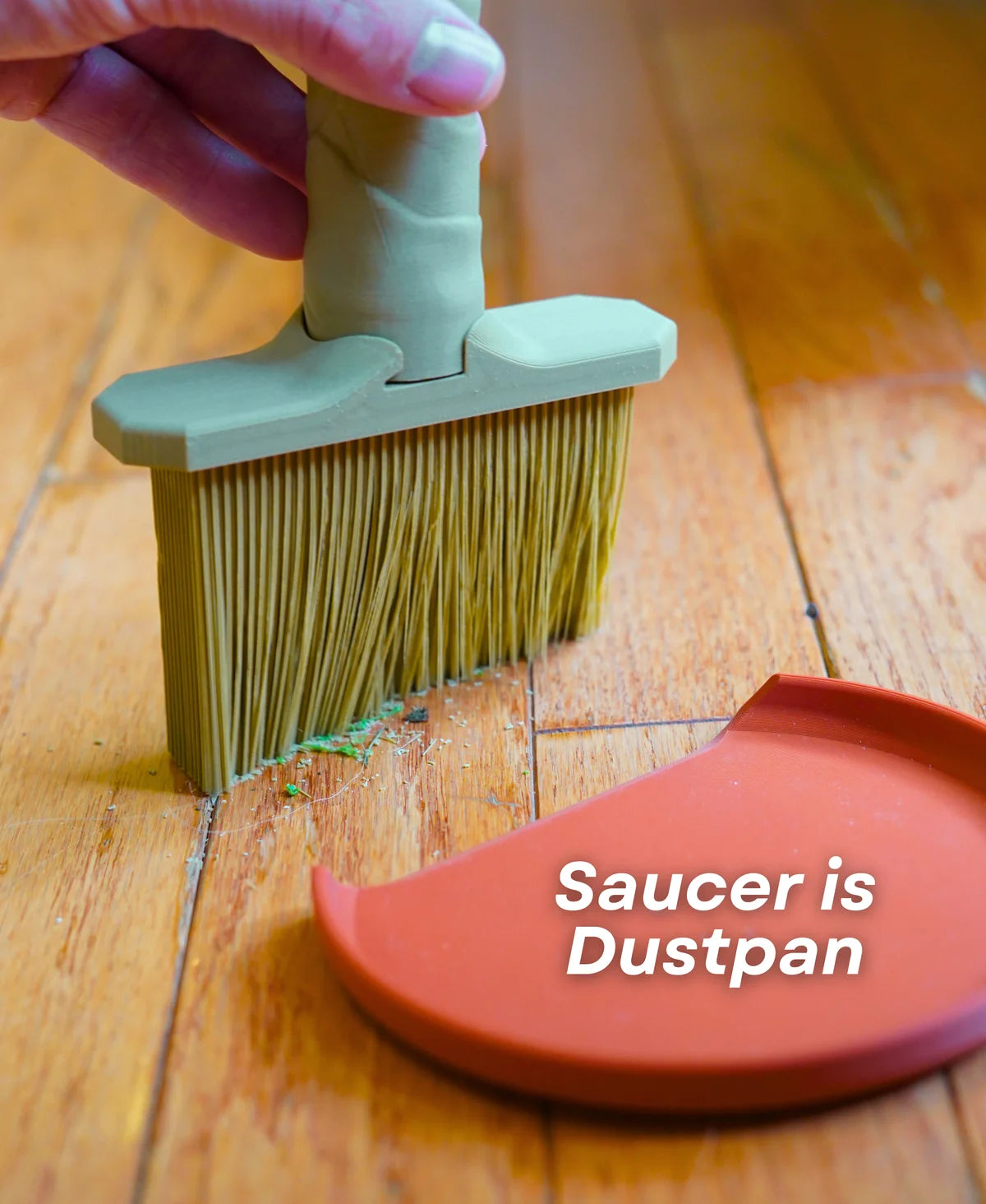 Dust-Free Dragon Tree | The Brush, Trashcan, Dustpan (all-in-one Plant)