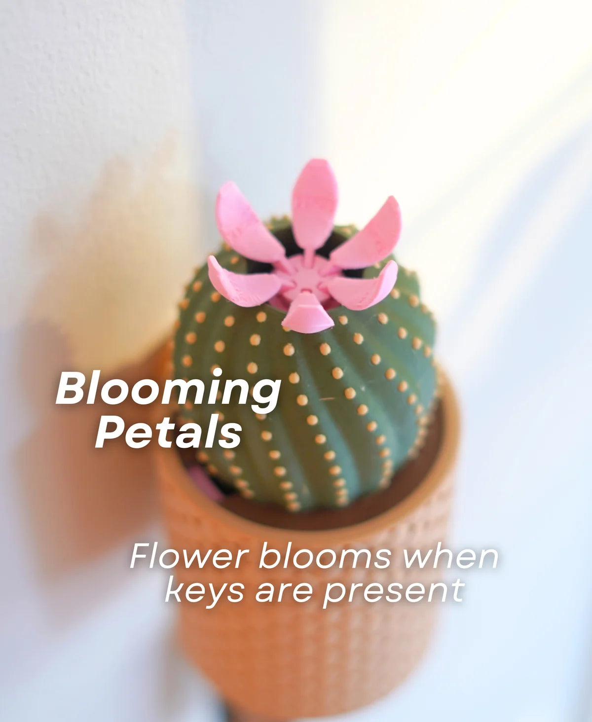 Cacti Keys - Cactus Blooming Wall Mounted Keyholder