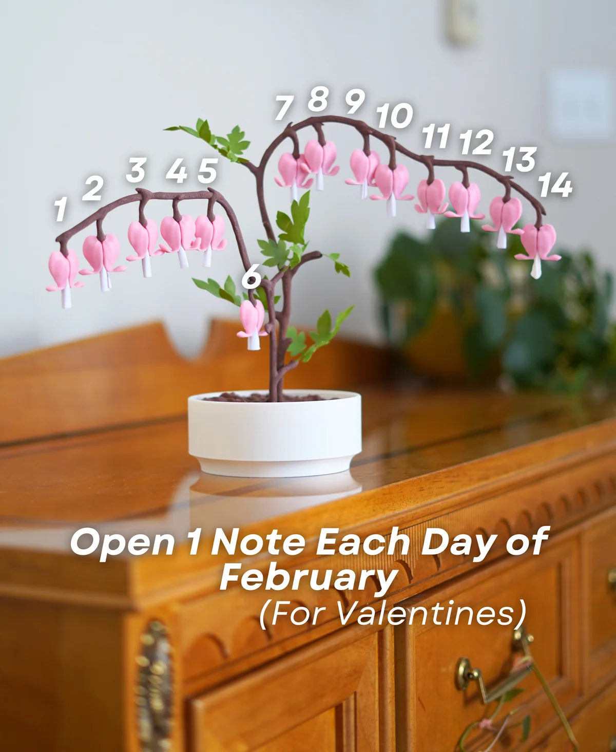 Bleeding Hearts - Functional Plant Print For Valentines Day - Secret Jewelry Box