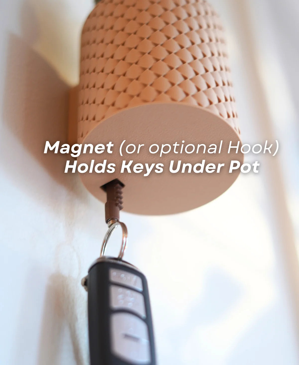 Cacti Keys - Cactus Blooming Wall Mounted Keyholder