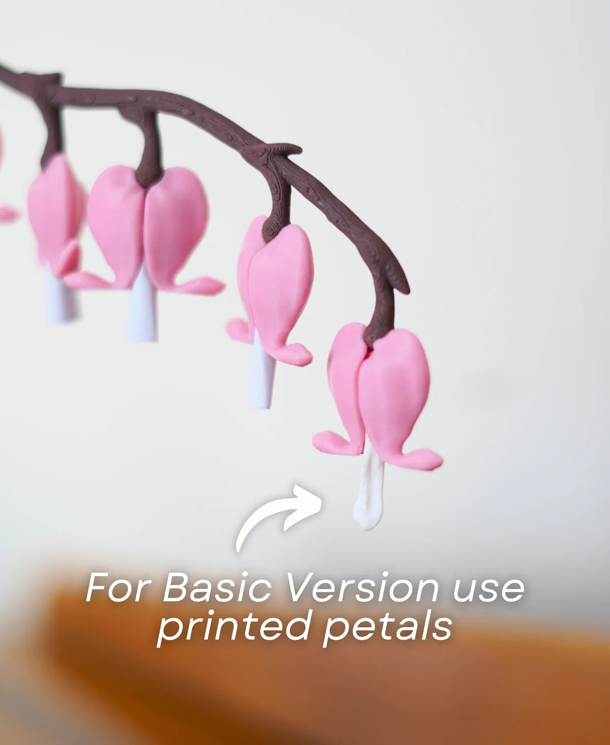 Bleeding Hearts - Functional Plant Print For Valentines Day - Secret Jewelry Box