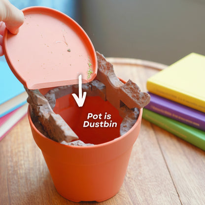 Dust-Free Dragon Tree | The Brush, Trashcan, Dustpan (all-in-one Plant)