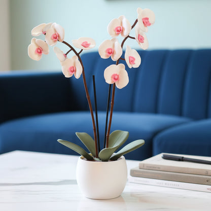 Aromatic Orchid Oil Diffusor and Incense Holder - with Spinning Leaves