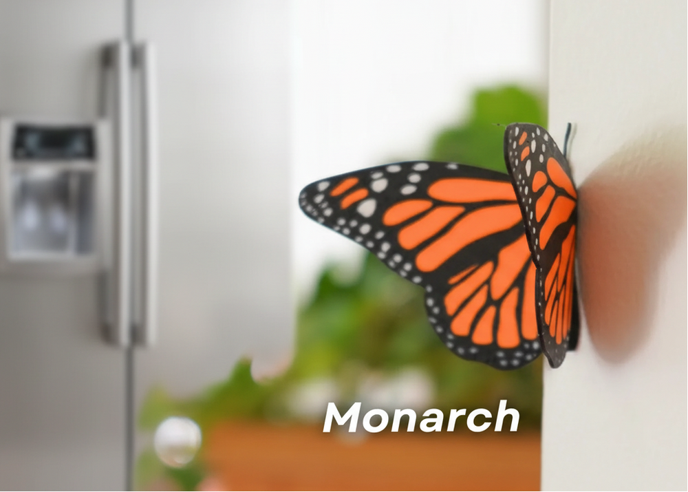 Butterfly Fridge Magnets (Set Of 3)