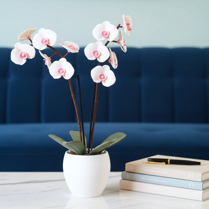 Aromatic Orchid Oil Diffusor and Incense Holder - with Spinning Leaves