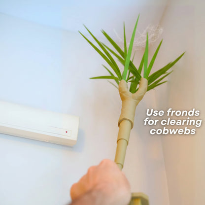 Dust-Free Dragon Tree | The Brush, Trashcan, Dustpan (all-in-one Plant)