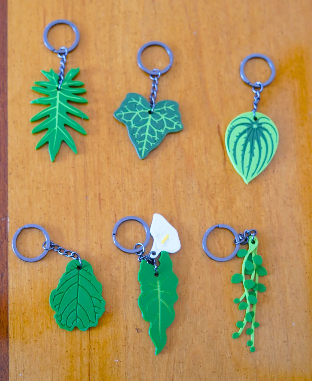 Leafy Keys - Houseplant Keychains For Car Key Ring and House Keys (Set Of 6)