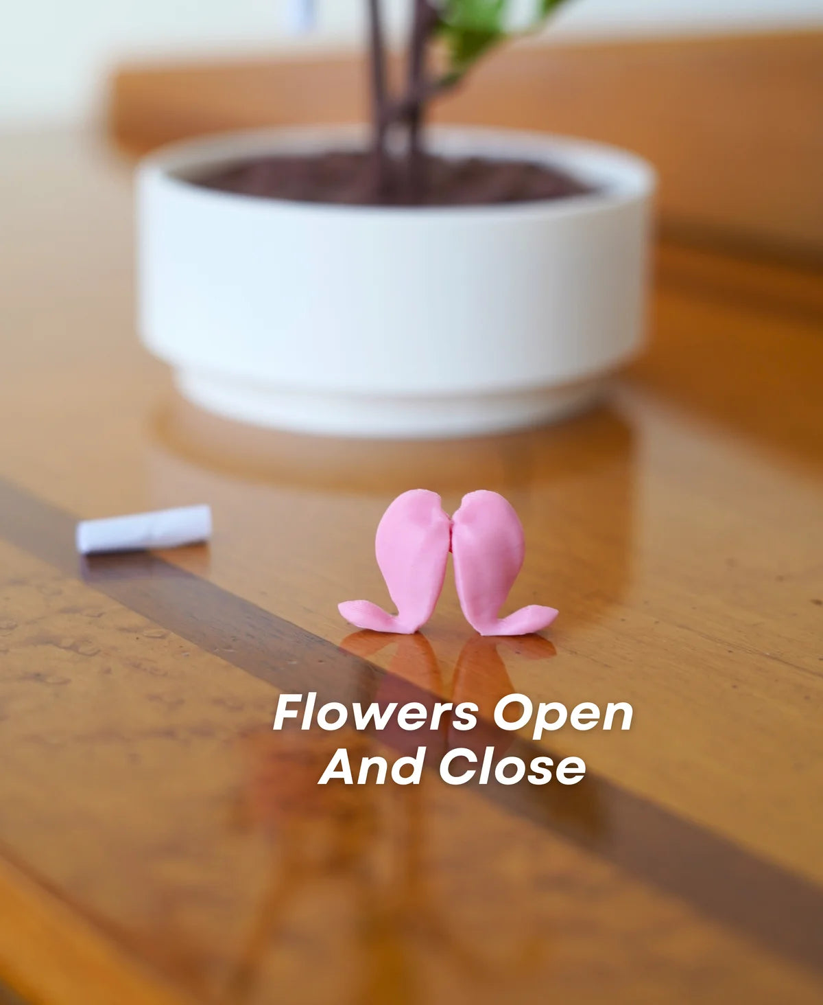 Bleeding Hearts - Functional Plant Print For Valentines Day - Secret Jewelry Box