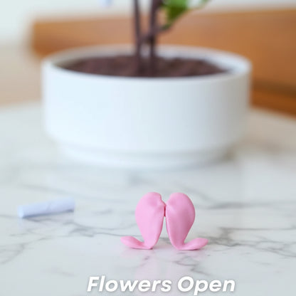 Bleeding Hearts - Functional Plant Print For Valentines Day - Secret Jewelry Box