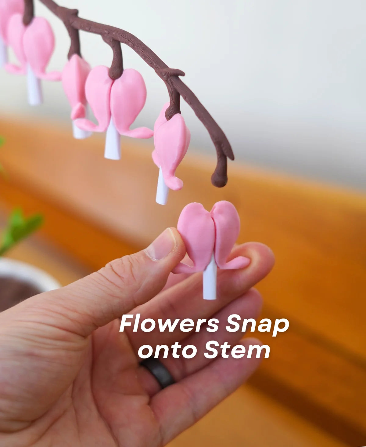 Bleeding Hearts - Functional Plant Print For Valentines Day - Secret Jewelry Box