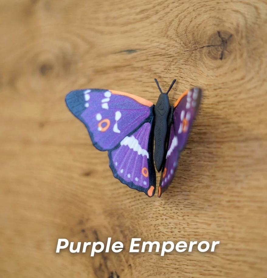 Butterfly Fridge Magnets (Set Of 3)