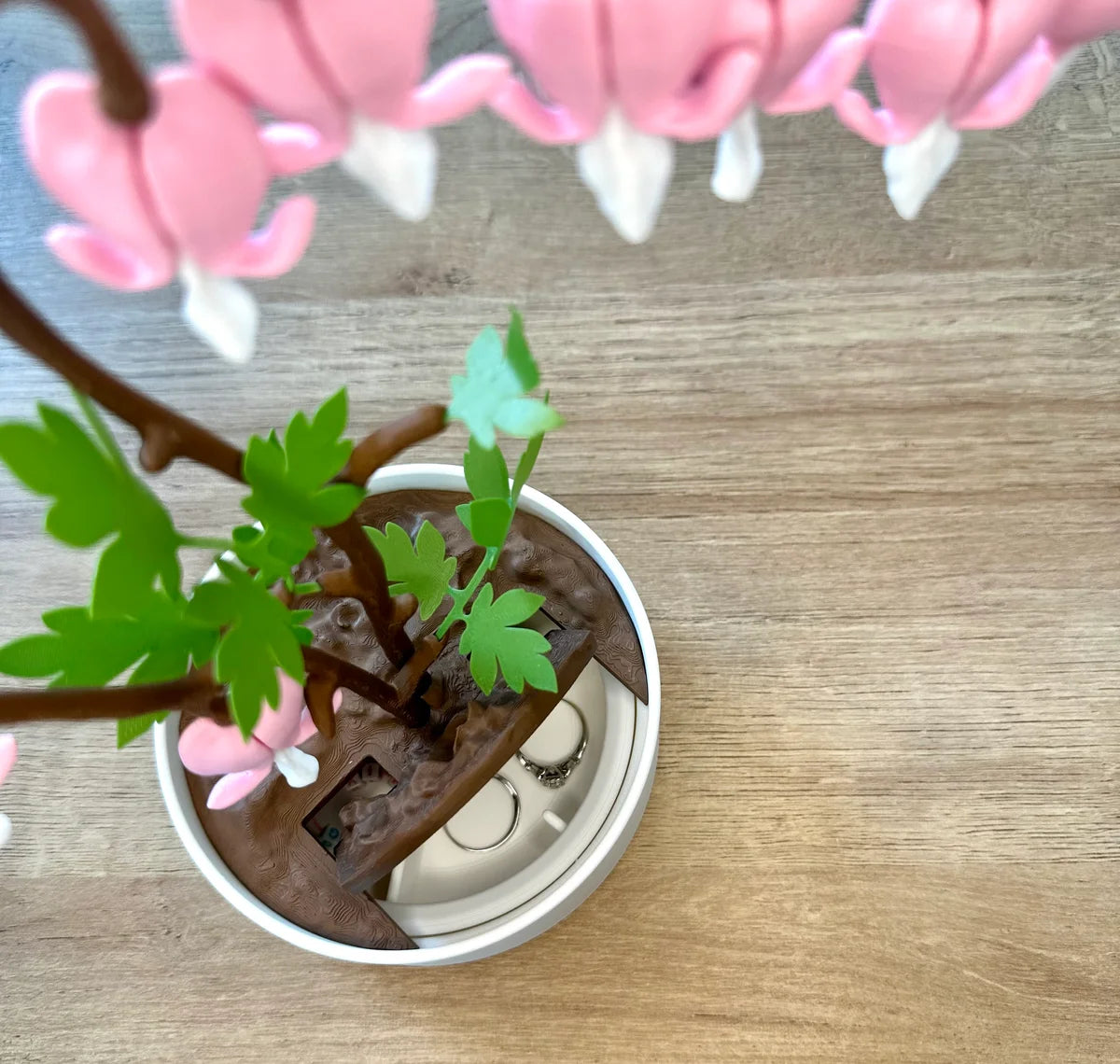 Bleeding Hearts - Functional Plant Print For Valentines Day - Secret Jewelry Box