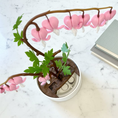 Bleeding Hearts - Functional Plant Print For Valentines Day - Secret Jewelry Box