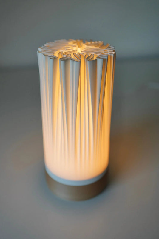 ORGANIS Minimalist Organic Table Lamp, Sculptural Shade
