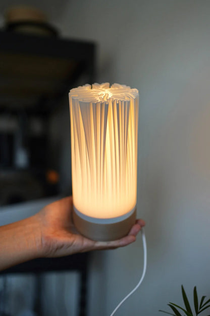 ORGANIS Minimalist Organic Table Lamp, Sculptural Shade