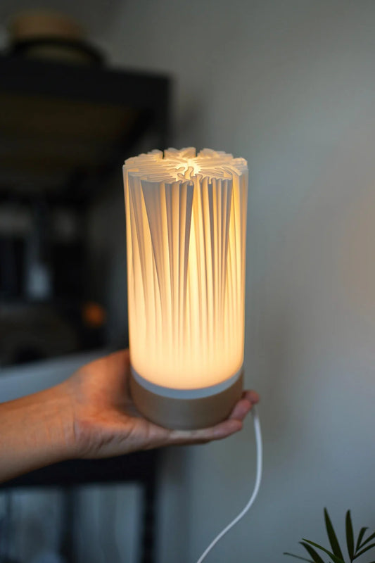 ORGANIS Minimalist Organic Table Lamp, Sculptural Shade