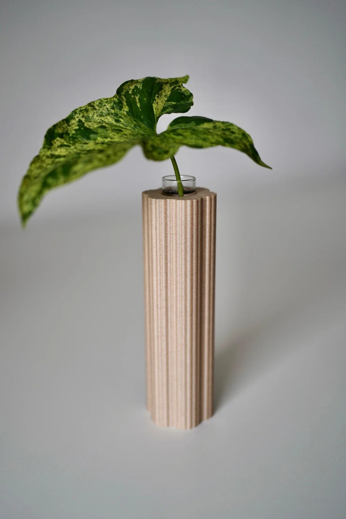 RootNest Plant Propagation Tube Vases, Test Tube Holder, Planter (Set Of 3)