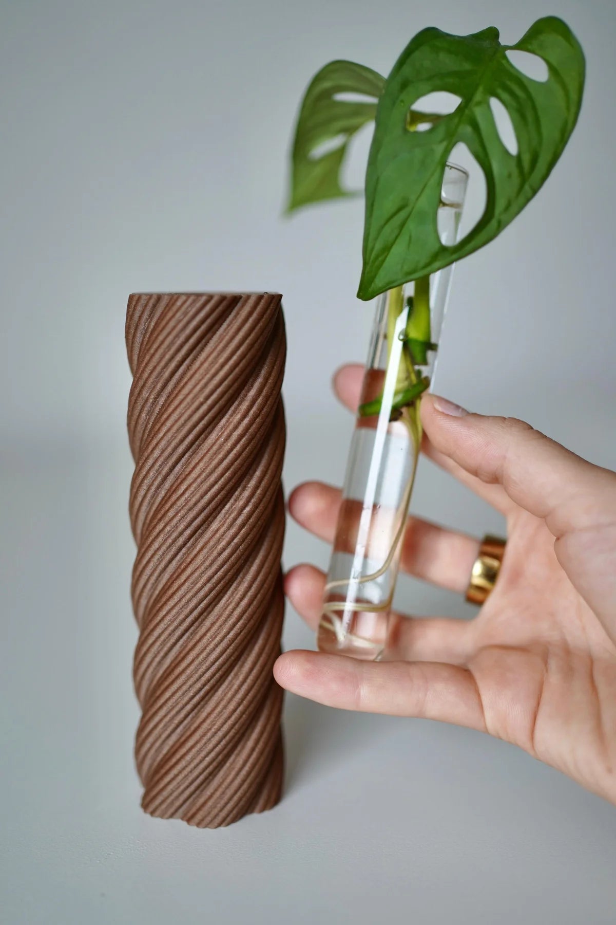 RootNest Plant Propagation Tube Vases, Test Tube Holder, Planter (Set Of 3)