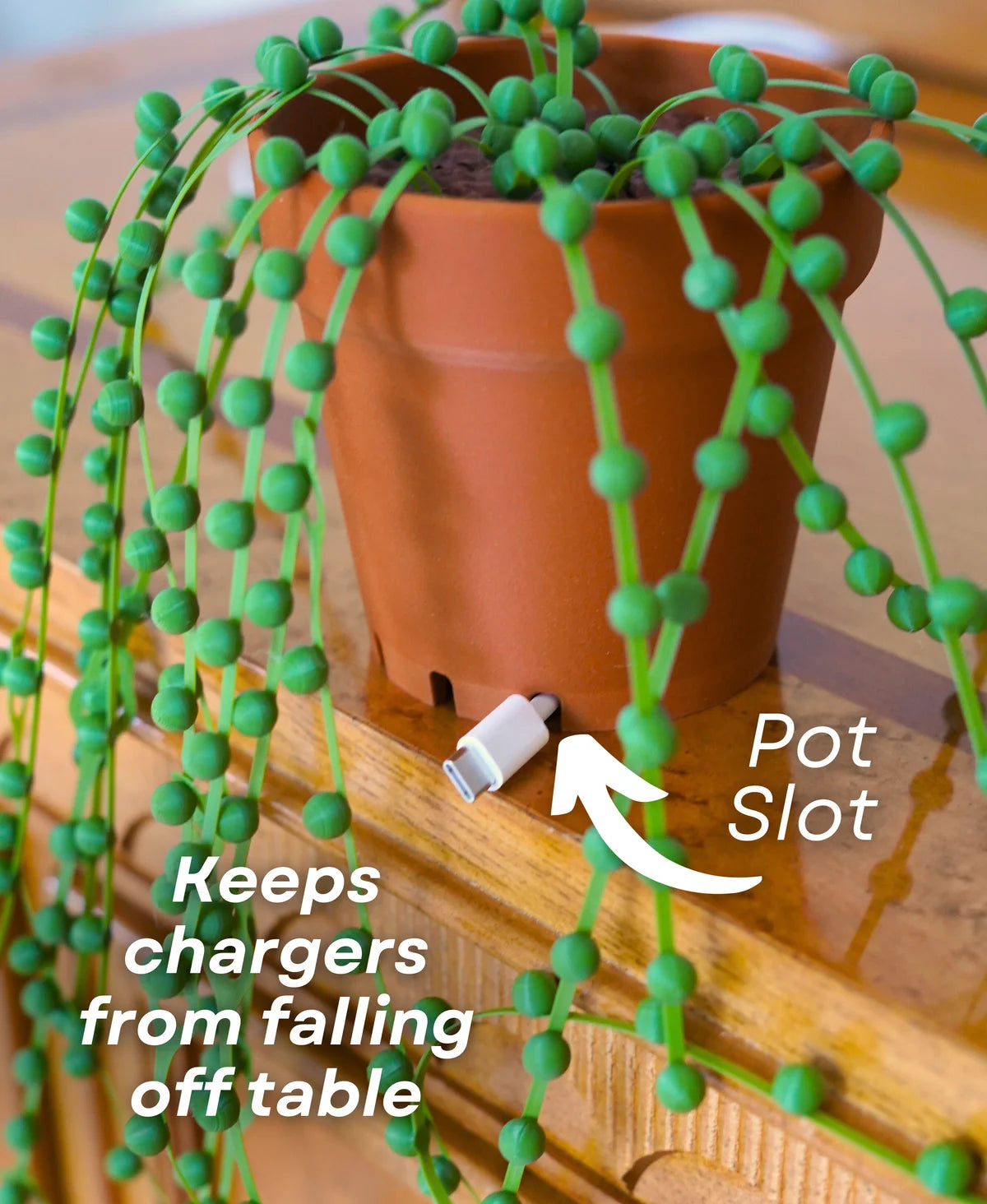 String of Pearls Cable Organizer - Cable Ties - Zip Tie (Plant With Pot)