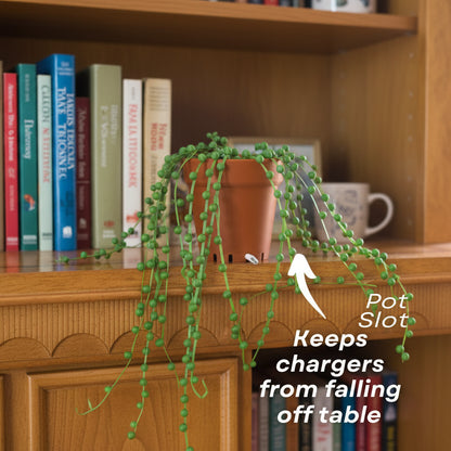 String of Pearls Cable Organizer - Cable Ties - Zip Tie (Plant With Pot)