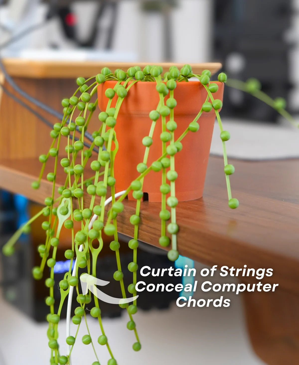 String of Pearls Cable Organizer - Cable Ties - Zip Tie (Plant With Pot)