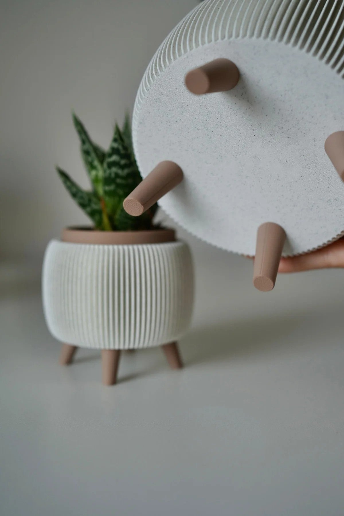LiftBloom Indoor Planter with Legs - Desk Showpiece (Set Of 2)