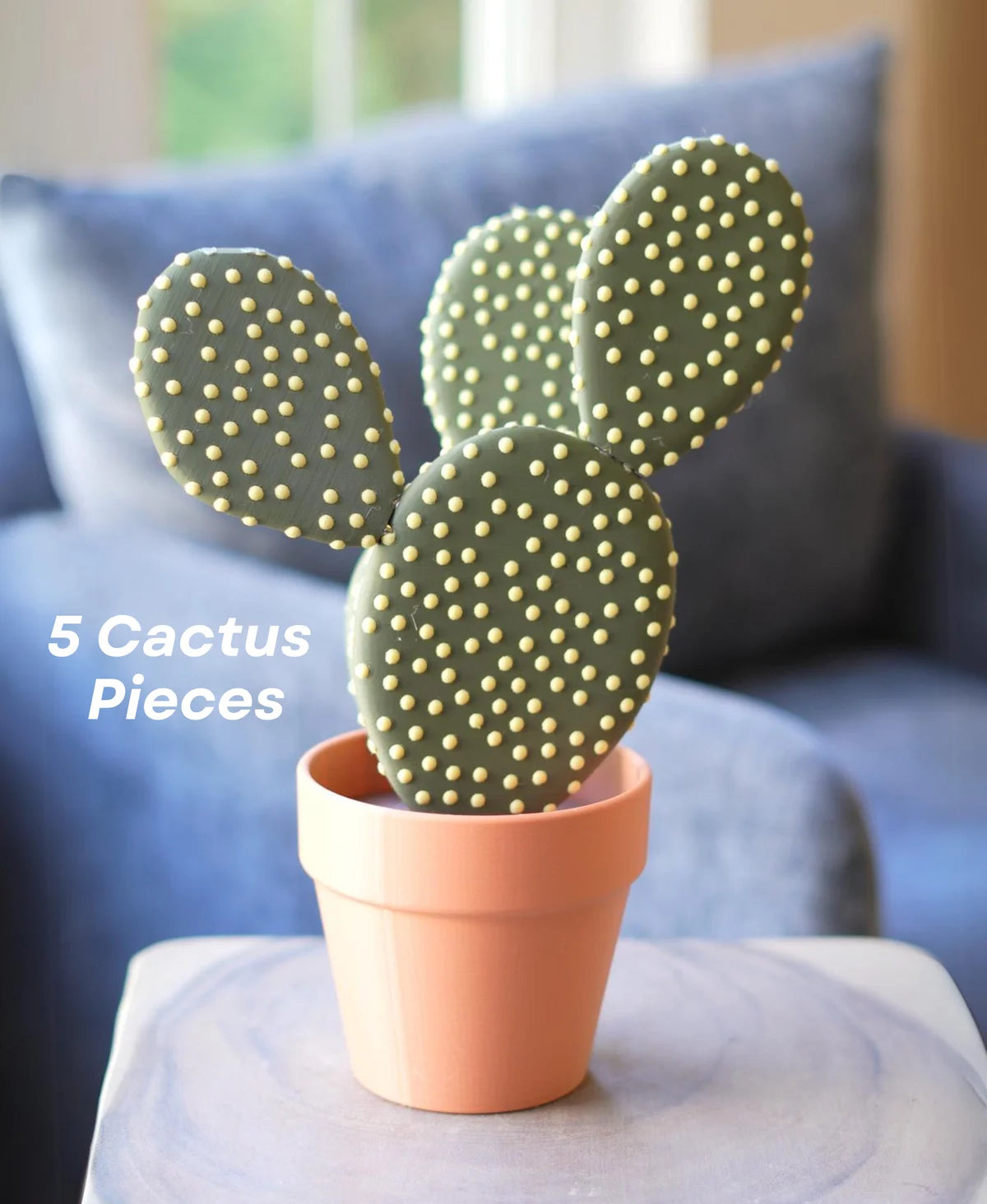 Cactus Coasters - Magnetic Cactus Coaster Set (5 Cactus Pieces)