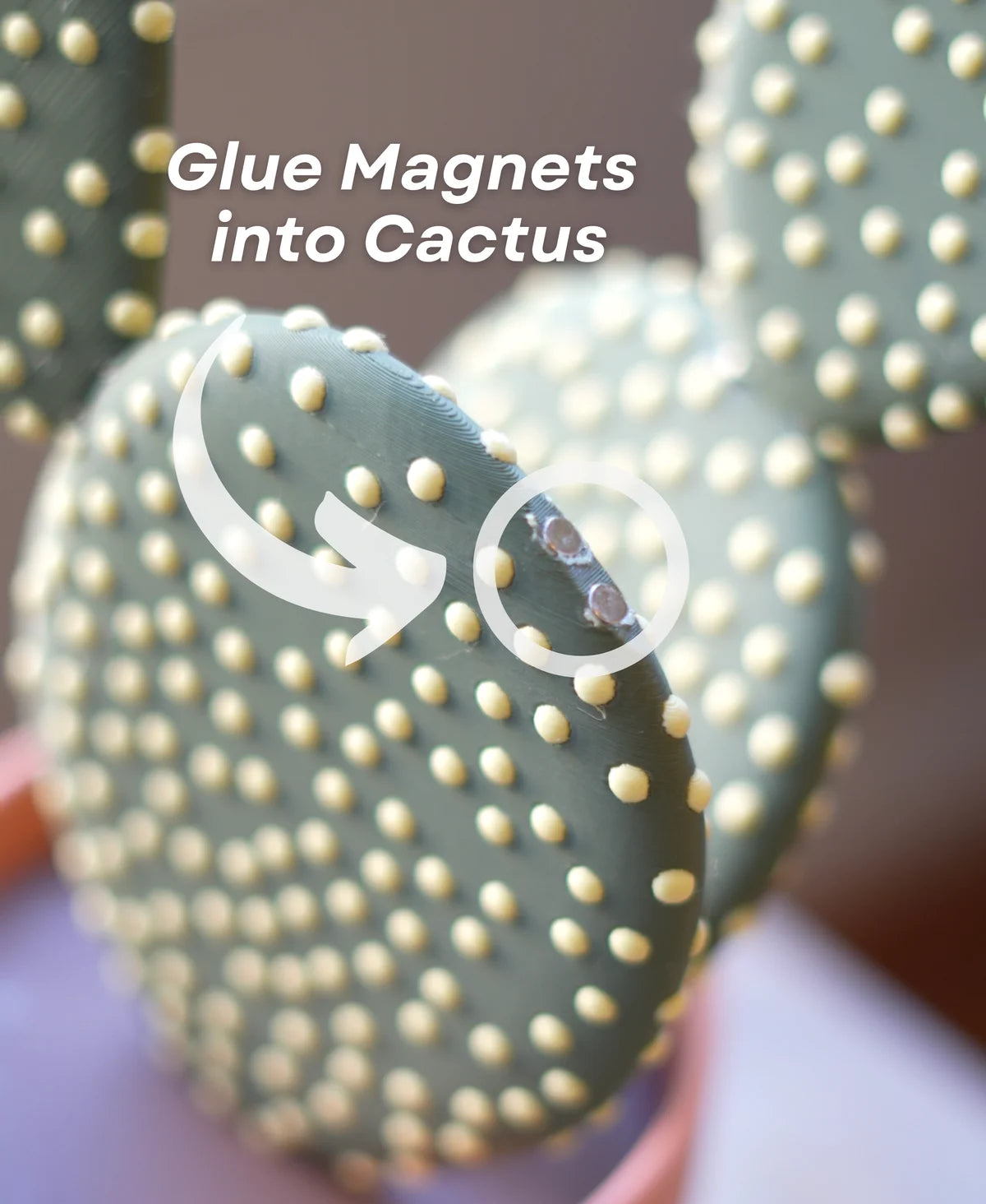Cactus Coasters - Magnetic Cactus Coaster Set (5 Cactus Pieces)