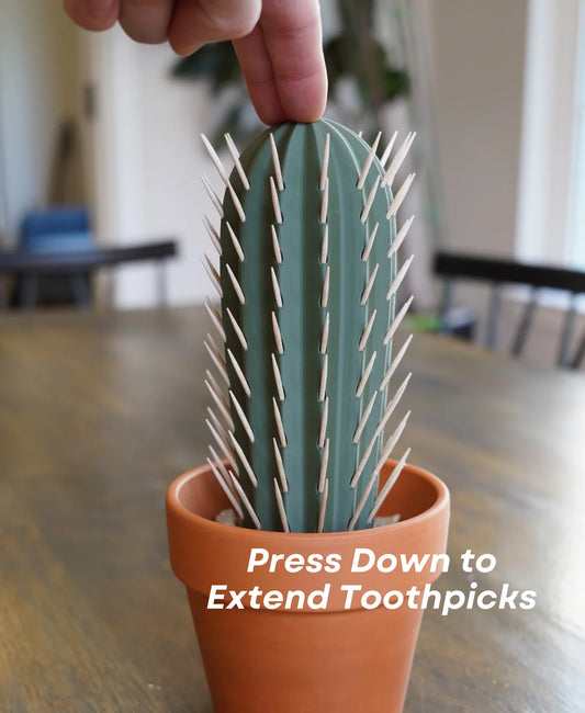 Cactus Toothpick Holder For Dining Table