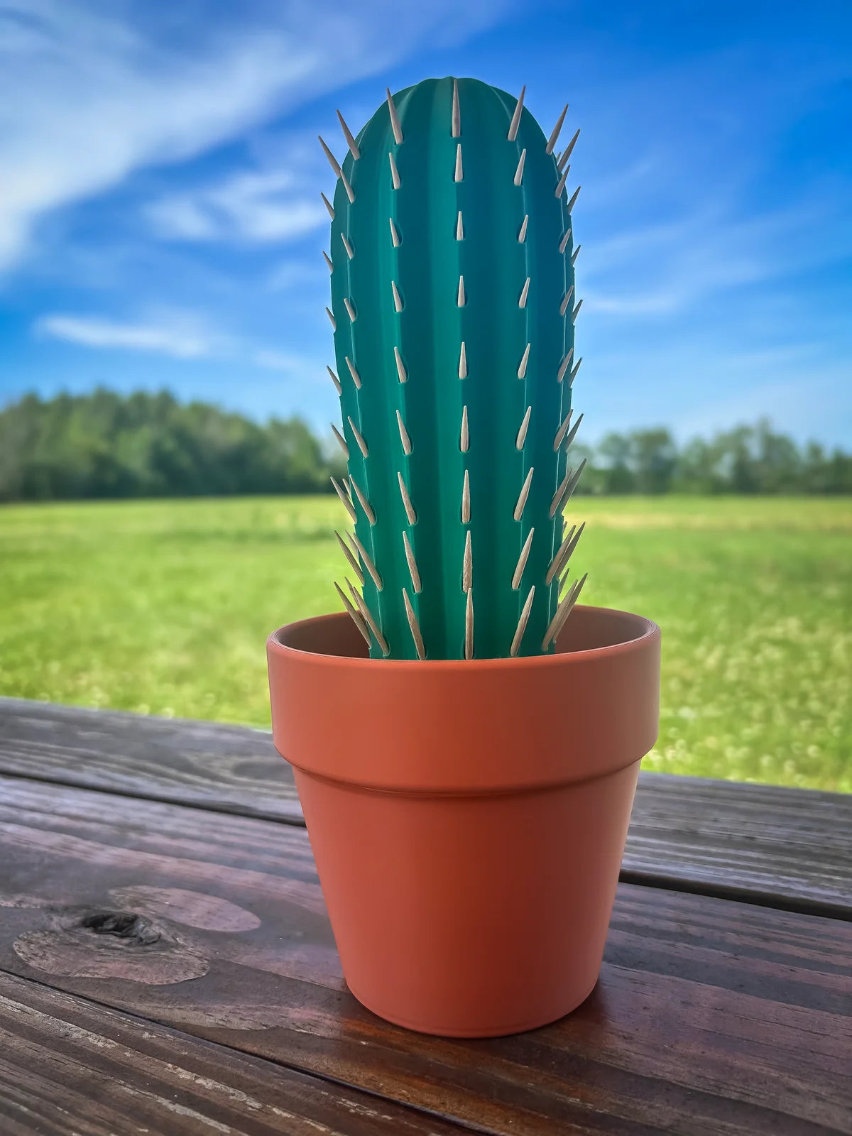 Cactus Toothpick Holder For Dining Table
