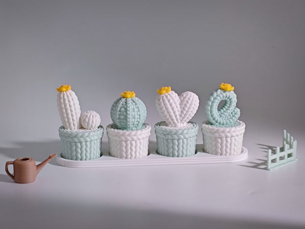 Love Knitted Cactus Décor Set (Threaded Design) – Valentine Gift Item