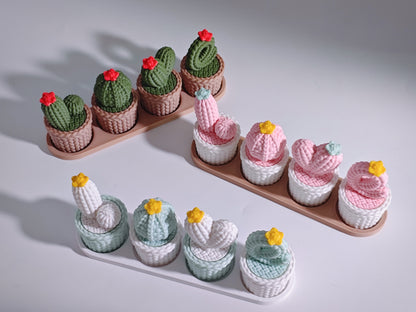 Love Knitted Cactus Décor Set (Threaded Design) – Valentine Gift Item