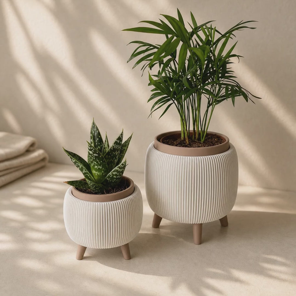 LiftBloom Indoor Planter with Legs - Desk Showpiece (Set Of 2)