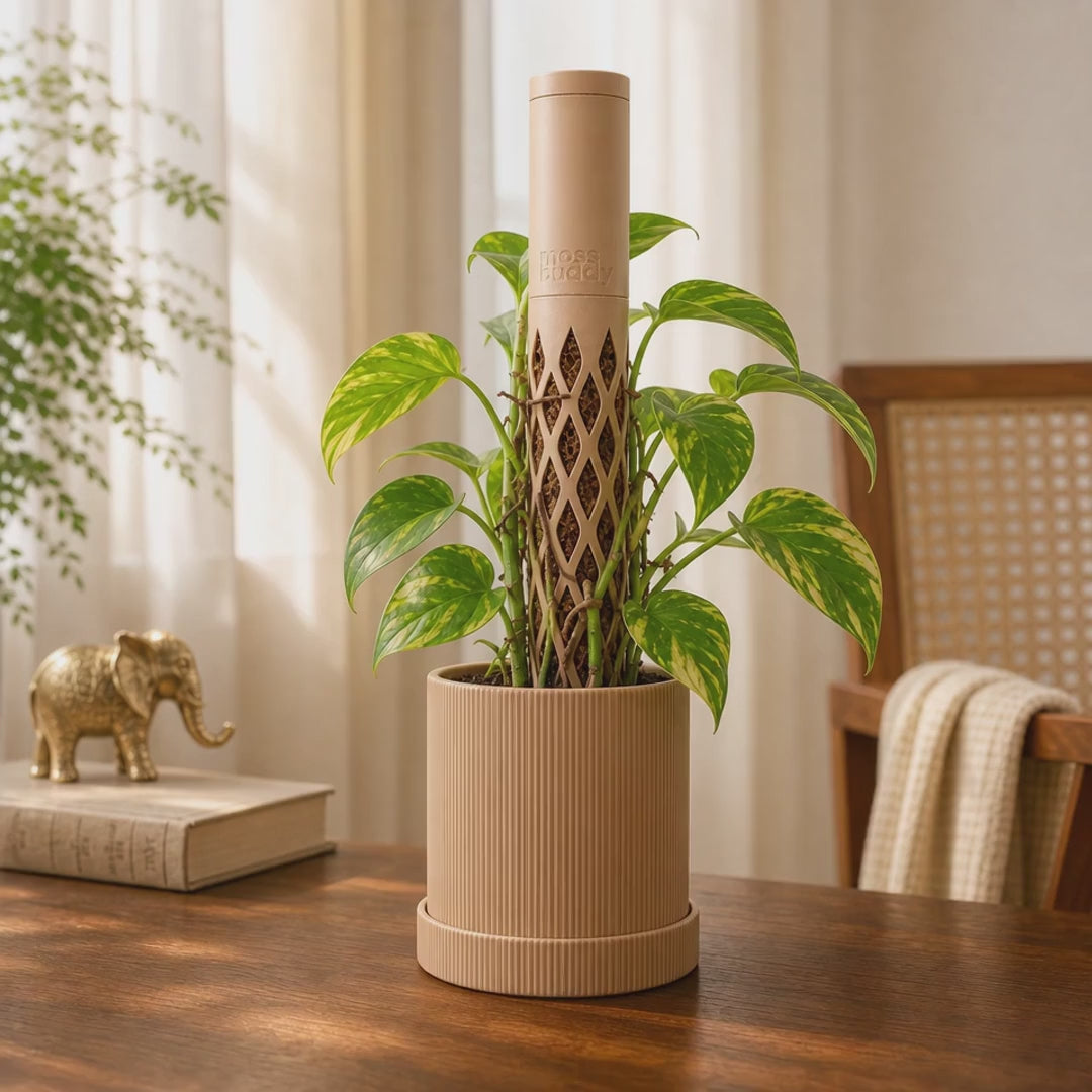 Modular Self-Watering Moss Pole for Climbers