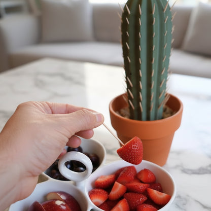 Cactus Toothpick Holder For Dining Table